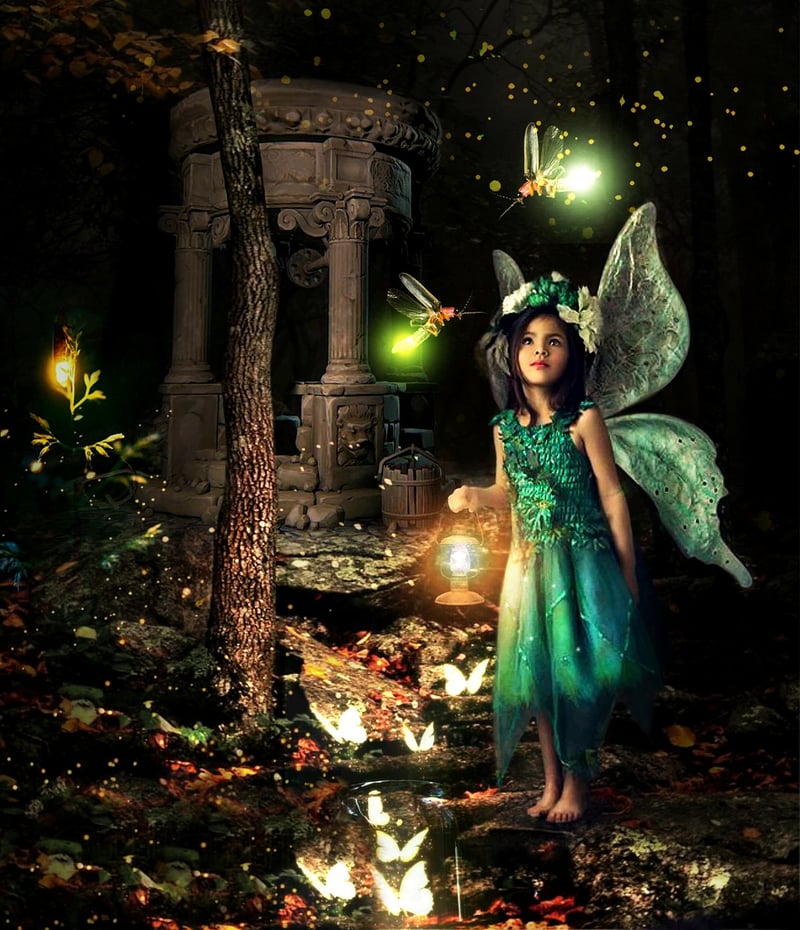 Fairy