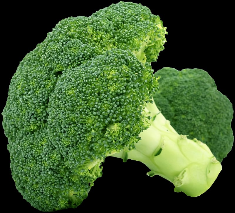 Enchanted Produce